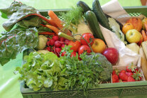 Salat, Tomaten, Äpfel, Erdbeeren, Petersilie und weiteres Gemüse in einer Kiste © KErn