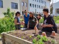 Beetplanung 