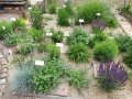 Wahlpflichtfach Garten und Natur