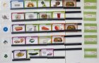 Bebilderter Speiseplan aus Karten der Speiseplanbox