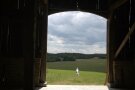 Hund Emil sitzt mit Blick in die Landschaft im großen Scheunentor