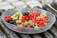 Schüssel mit verschiedenen Beeren