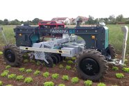 Autonomer Hackroboter auf einem Salatfeld.