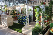 Beispiele für Urban Farming auf Balkon und Terrasse
