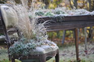 Bepflanzter Stuhl mit winterlichen Stauden