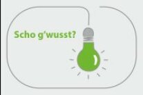 Glühbirne in einem Kreis mit Schriftzug "Scho g'wusst?"