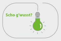 Glühbirne in einem Kreis mit Schriftzug "Scho g'wusst?"