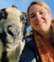 Selfie mit Schaf