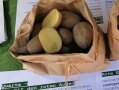 Aufgeschnittene Kartoffeln in Papiertüte