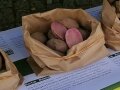 Aufgeschnittene Kartoffeln in Papiertüte