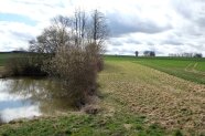 Teich mit Wiesenstreifen und dahinter Ackerfläche