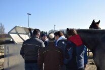 Die Betriebsleiterin zeigt den Teilnehmern wie die Heuraufe befüllt werden kann