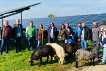 Mehrere Personen und Schafe neben Photovoltaik-Freiflächenmodul