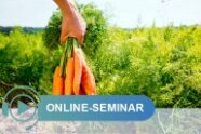 Hand hält Bund frisch geernteter Karotten auf Feld  Schriftzug Online-Seminar © CMMeissner
